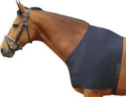 Borst- en schoftbeschermer  voor  paardendekens